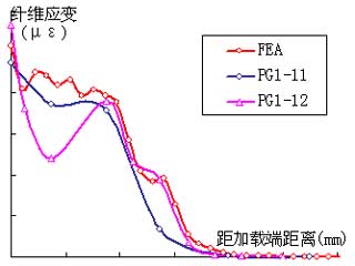 Fiber strain distribution