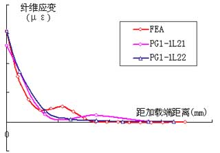 Fiber strain distribution