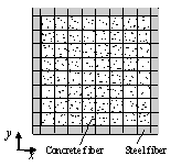 Figure 8 Fiber distributions in a section of CFST column.