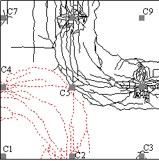 Crack patterns at top and bottom surfaces of the slab: (a) top surface cracks at IC; (b) top surface cracks at FPL; (c) top surface cracks at final stage; (d) bottom surface cracks at final stage.