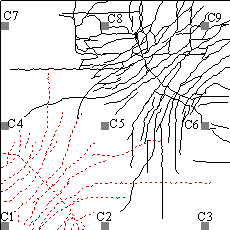 Crack patterns at top and bottom surfaces of the slab: (a) top surface cracks at IC; (b) top surface cracks at FPL; (c) top surface cracks at final stage; (d) bottom surface cracks at final stage.