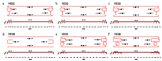 Reinforcement layouts in the plastic zone of the test units (unit: mm)